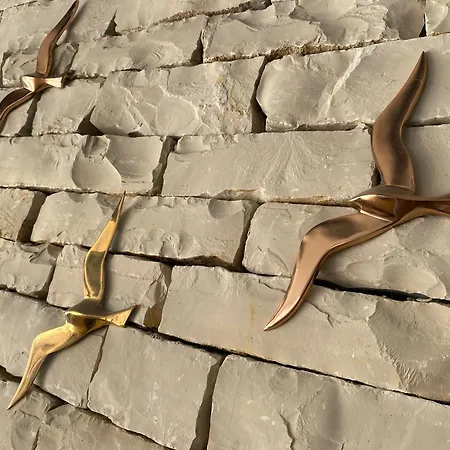 Au Pied De La Dune, 20m Plage, Spa, Plancha, 5ch Holiday home *