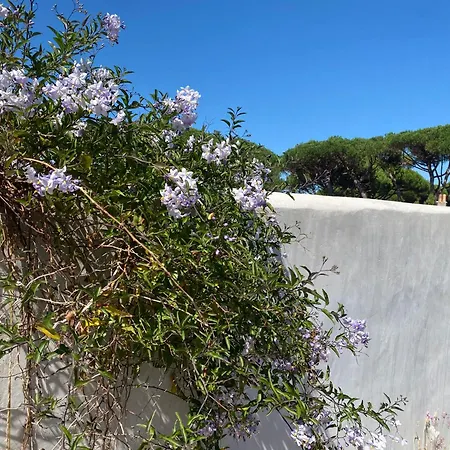 Vakantiehuis Les Dunes Les Pieds Dans Le Sable 5ch *