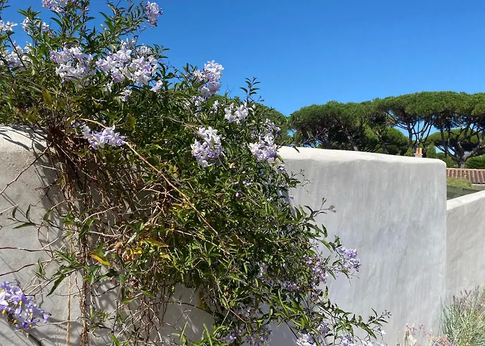 Holiday home Au Pied De La Dune, 20m Plage, Spa, Plancha, 5ch *